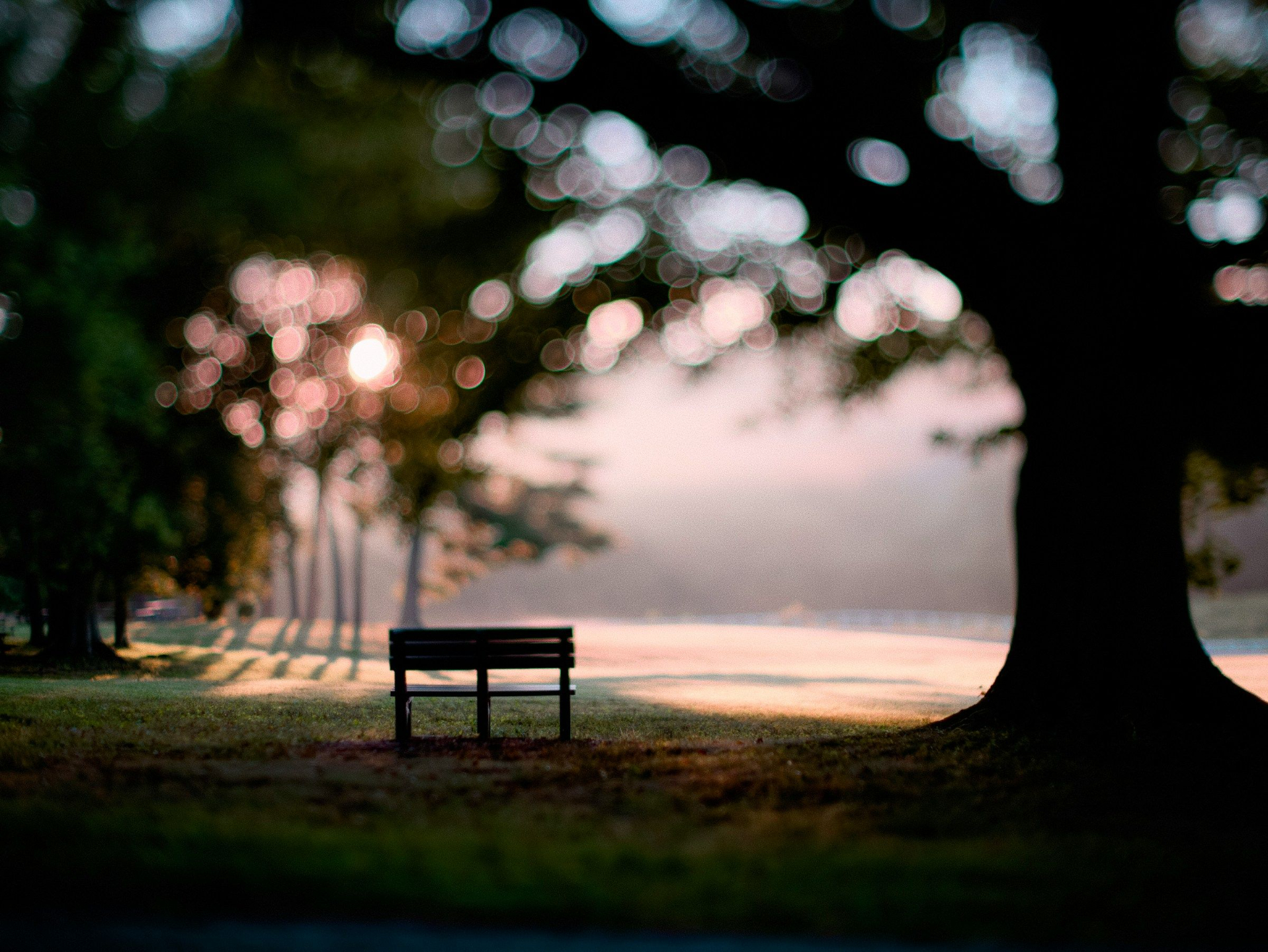 Lonely bench